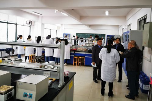 我院食品科學(xué)與工程本科專業(yè)接受校內(nèi)專業(yè)評(píng)估