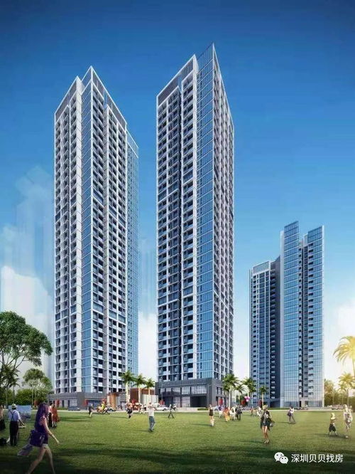 深圳非居住房地產租賃市場最新動態(tài) 售樓處聯(lián)系方式與租賃詳情解析