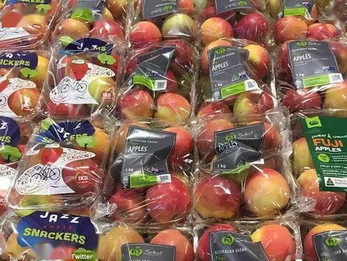 Aldi澳洲全面停售二手日用百貨，推動可持續發展與消費升級